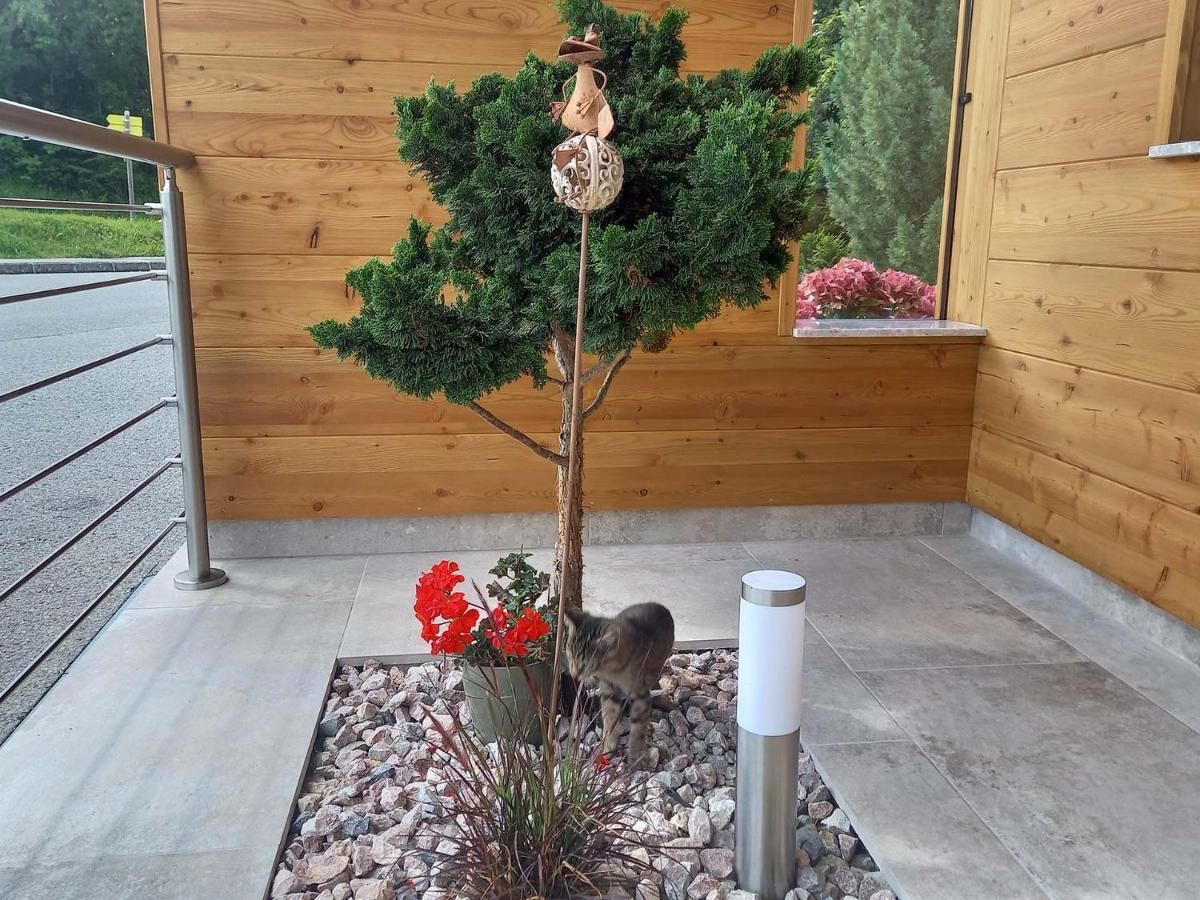 Beim Tischler Apartment Vorderstoder Bagian luar foto